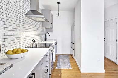 482 E 7th St unit 3, Boston, MA 02127 - photo 4