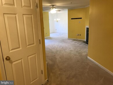 8805 Stone Ridge Cir unit 203, Pikesville, MD 21208 - photo 5