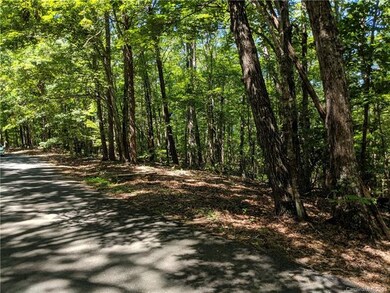 0 Whitney Blvd unit 6 3524207, Lake Lure, NC 28746 - photo 2