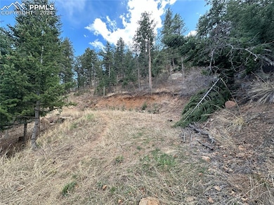 284 Neon Moon View, Manitou Springs, CO 80829 - photo 4