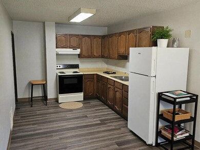 520 N Grant St unit 2, Blue Earth, MN 56013 - photo 3