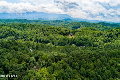 424 Tunis Rd, Pittman Center, TN 37876 - photo 6