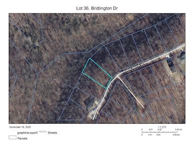 Lot 36 Bridlington Dr, Bella Vista, AR 72714 - photo 4