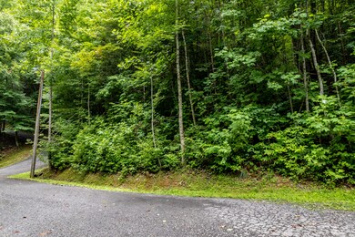Lot 48 Riversong Way, Sevierville, TN 37876 - photo 5