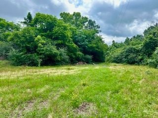 4773 Hi Truett Rd, Jasper, TX 75951 - photo 3