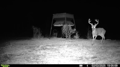 2 Cemetery Rd, Ecru, MS 38841 - photo 2