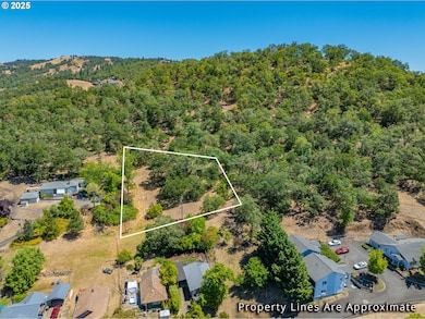 1111 NE Crescent Aly, Roseburg, OR 97470 - photo 4