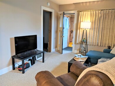 Living room featuring carpet flooring