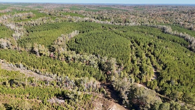 0000 Highway 82, Eufaula, AL 36027 - photo 4