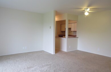 8137 Cedar Point Dr unit 118, Crown Point, IN 46307 - photo 7