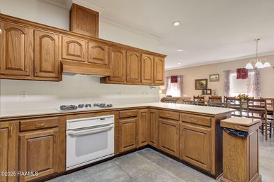 11612 Old Jeanerette Rd unit 1, Jeanerette, LA 70544 - photo 7