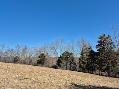 0 Preston Sullivan Rd unit 25641980, Columbia, KY 42728 - photo 2