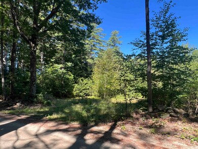 21 Bowen School Rd, Deering, NH 03244 - photo 3