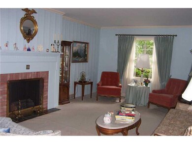 Living Room. Electric fireplace in pretty living r