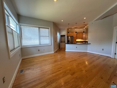 215 5th St SW unit 1A, Charlottesville, VA 22903 - photo 3