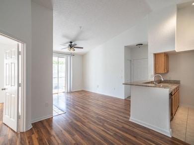 8300 Elm Park Dr unit 738, Orlando, FL 32821 - photo 6