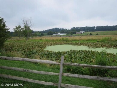 3435 Stoney Creek Rd, Edinburg, VA 22824 - photo 7