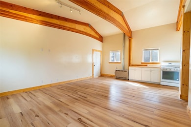 Unfurnished living room with light wood-style flooring and radiator heating unit