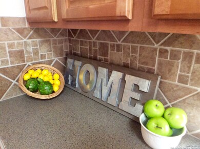 21911 Dolomite Dr, San Antonio, TX 78259 - photo 7