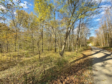 Thompsonville Rd 42-5