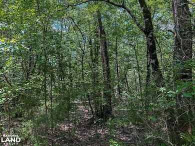 0 Oakley Rd unit 24338612, Hybart, AL 36452 - photo 2