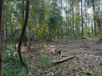 111 N Hunter Ln, Troy, AL 36079 - photo 3