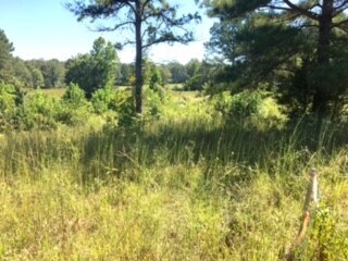 Facing toward front of property