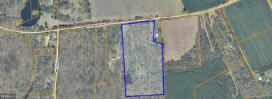 0 Golansville Rd unit 1000399525, Ruther Glen, VA 22546 - photo 2