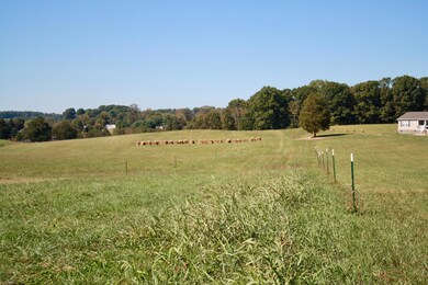 IMG_4058