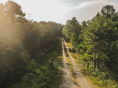 210 Egg & Butter Rd, Ochlocknee, GA 31773 - photo 4