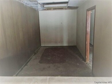 414 5th St, Illiopolis, IL 62539 - photo 4