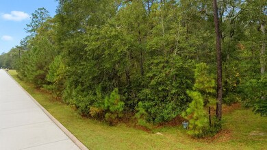 11348 Sunset Ave, Magnolia, TX 77354 - photo 5