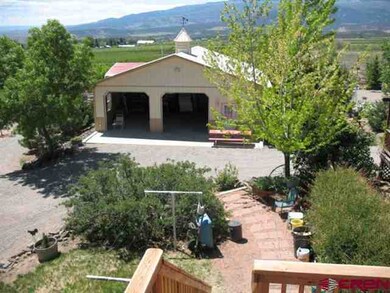 1145 NW Bluebird Ave, Cedaredge, CO 81413 - photo 3