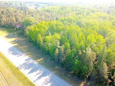 000 Vacant U S 31, Pellston, MI 49769 - photo 4