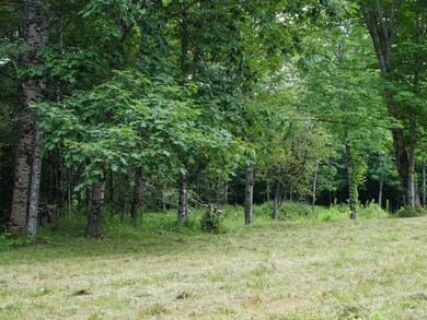 0 Lesperance Rd unit 1632283, Albion, ME 04910 - photo 6