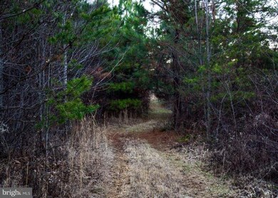 12700 New Chapel Rd, Spotsylvania, VA 22551 - photo 6