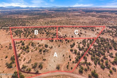 8449 Water Tank Cir unit C, Valle, AZ 86046 - photo 4