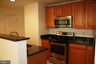 24768 Stone Station Terrace, Stone Ridge, VA 20105 - photo 4