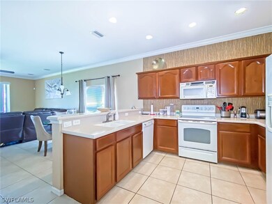 11030 River Trent Ct, Lehigh Acres, FL 33971 - photo 5