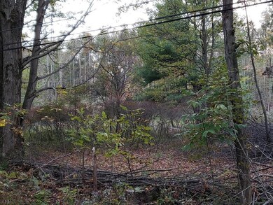 Wooded parcel