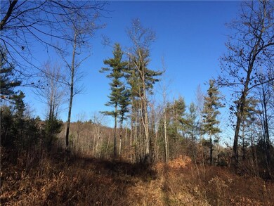 0 Mountain Rd unit 1246727, Newfield, ME 04056 - photo 2