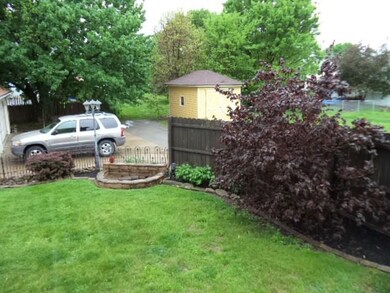 Another View of the Backyard