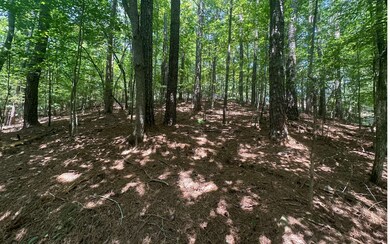 Additional View