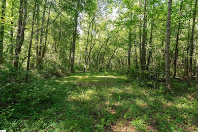 7004 Mountain View Rd, Taylors, SC 29687 - photo 7