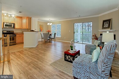 4514 Superior Square, Fairfax, VA 22033 - photo 5
