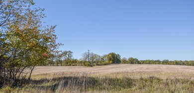 0 Brocklebank Rd, Quincy, MI 49082 - photo 3