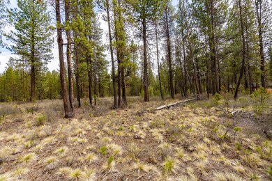 16337 Mule Deer Lane_0009 copy