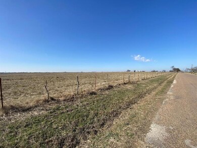 6091 County Road 1010, Joshua, TX 76058 - photo 5