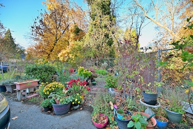 524 NW C St, Grants Pass, OR 97526 - photo 7