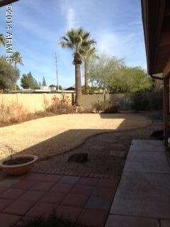 BackYard1